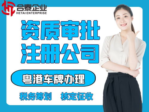 全面解析代理海南國際貿(mào)易公司及國內(nèi)貿(mào)易代理的申請與辦理流程